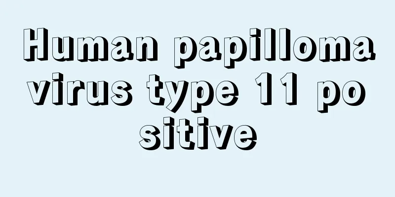 Human papillomavirus type 11 positive