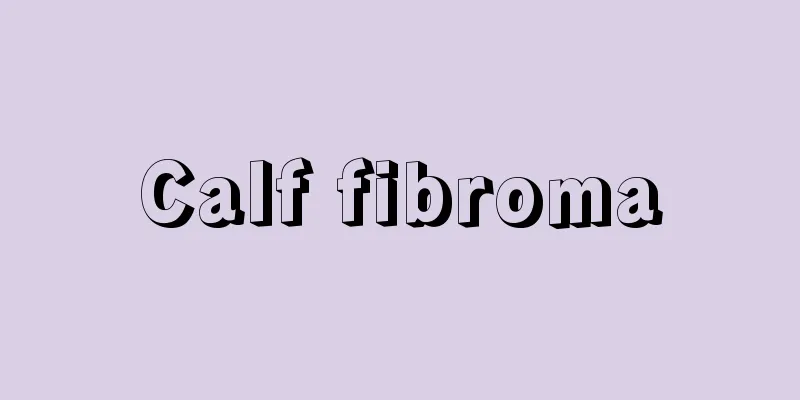 Calf fibroma