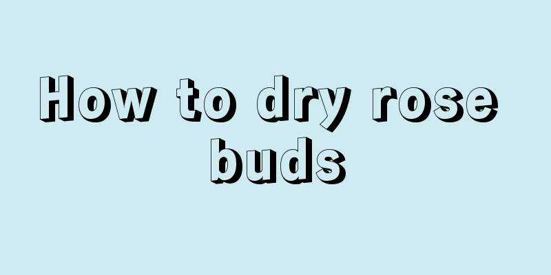 How to dry rose buds
