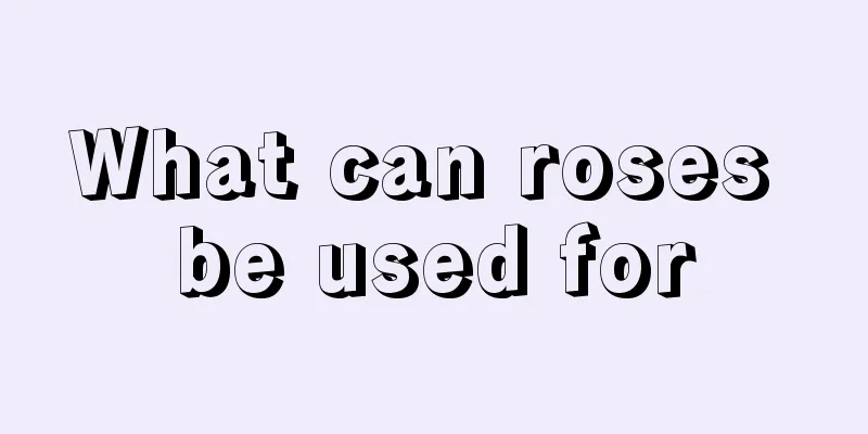 What can roses be used for