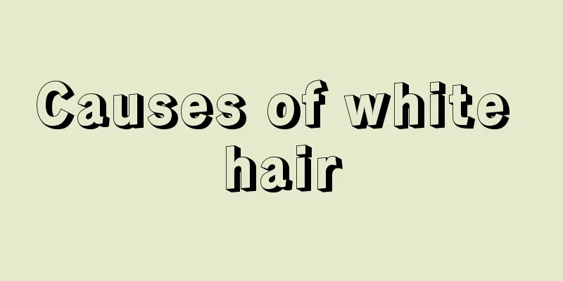 Causes of white hair