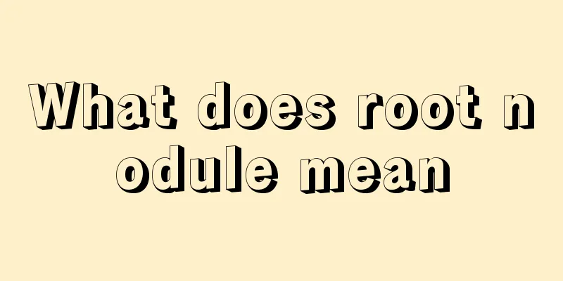 What does root nodule mean