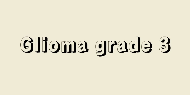 Glioma grade 3