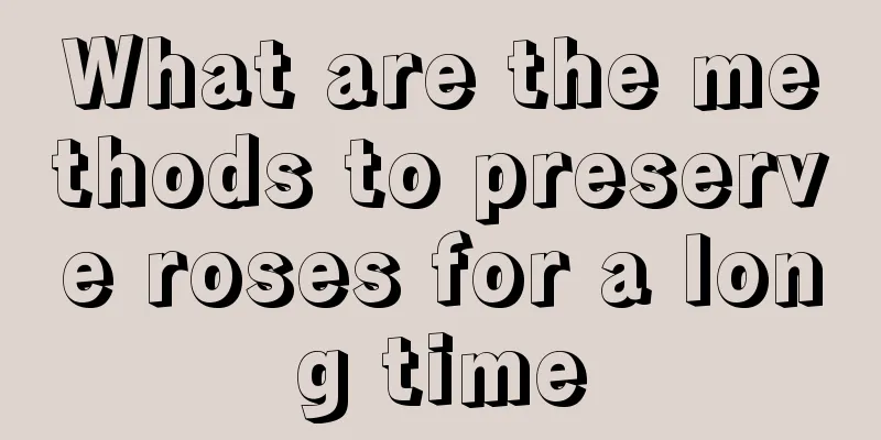 What are the methods to preserve roses for a long time