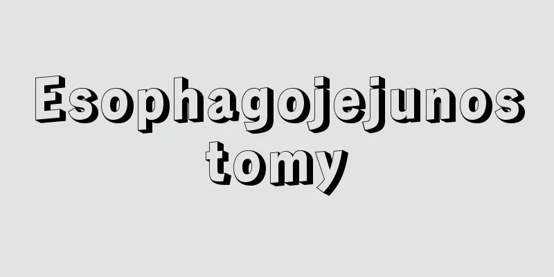 Esophagojejunostomy