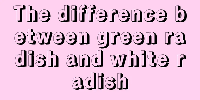 The difference between green radish and white radish