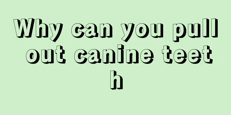Why can you pull out canine teeth