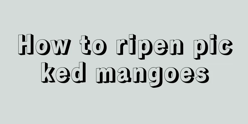 How to ripen picked mangoes