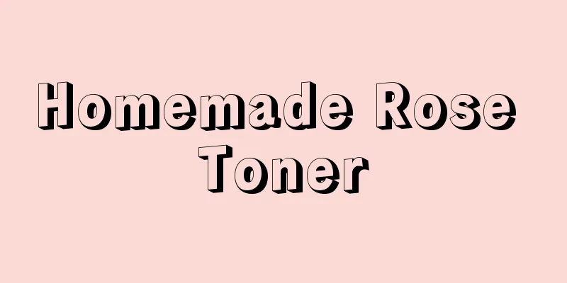 Homemade Rose Toner