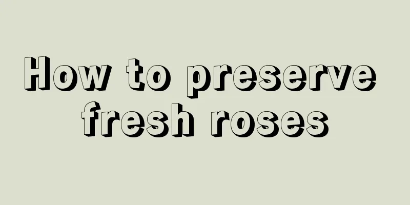 How to preserve fresh roses