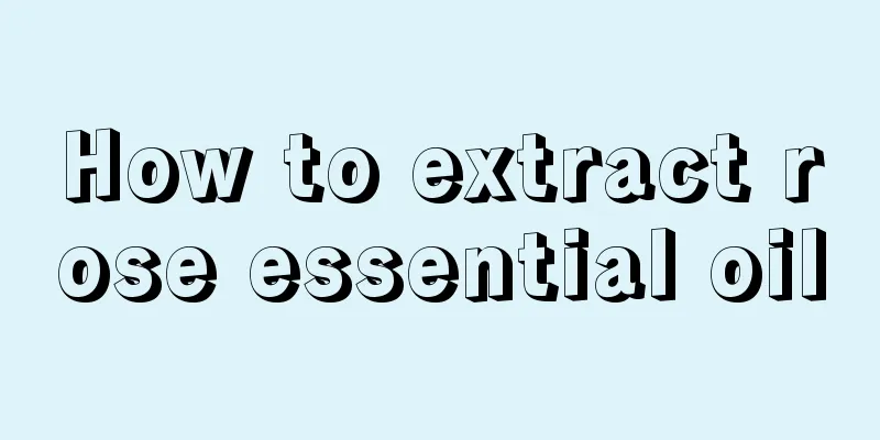 How to extract rose essential oil