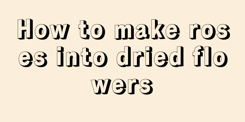 How to make roses into dried flowers