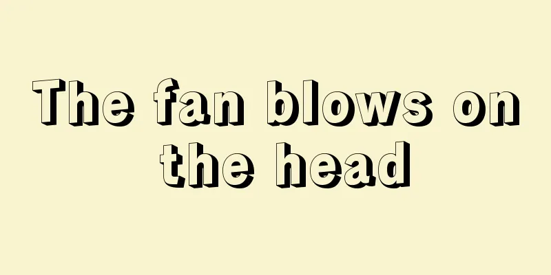 The fan blows on the head