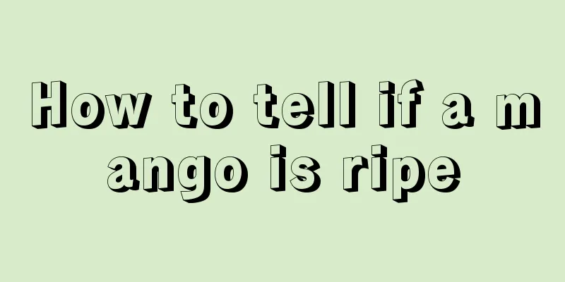 How to tell if a mango is ripe