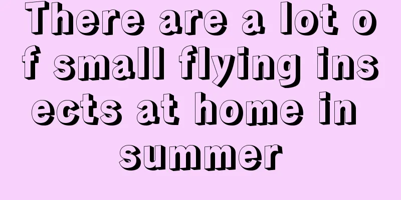 There are a lot of small flying insects at home in summer