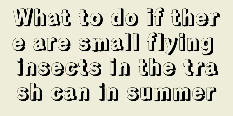 What to do if there are small flying insects in the trash can in summer
