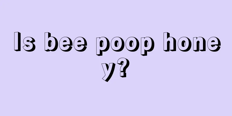 Is bee poop honey?