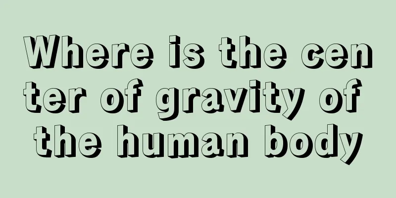 Where is the center of gravity of the human body