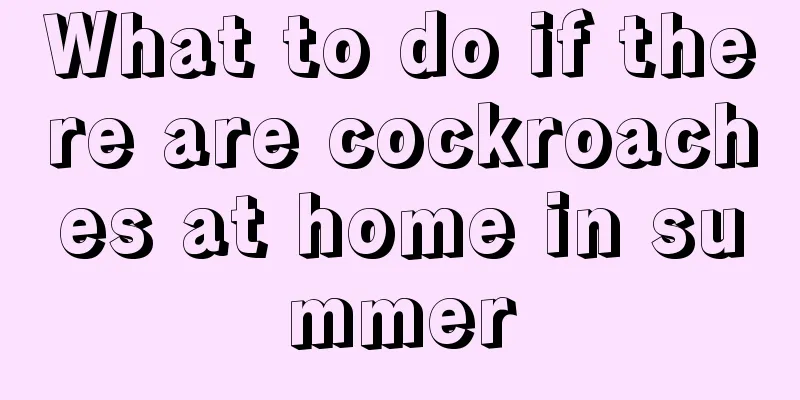 What to do if there are cockroaches at home in summer