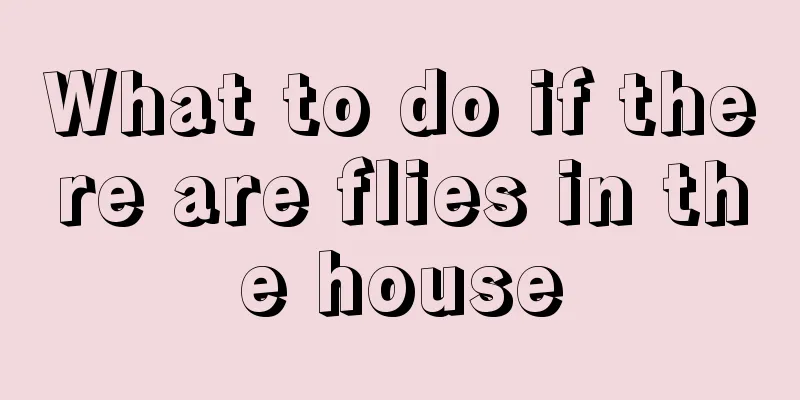 What to do if there are flies in the house