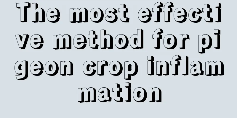 The most effective method for pigeon crop inflammation