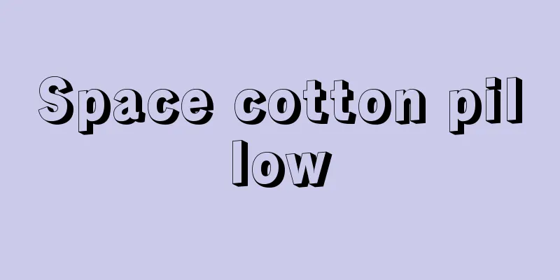 Space cotton pillow