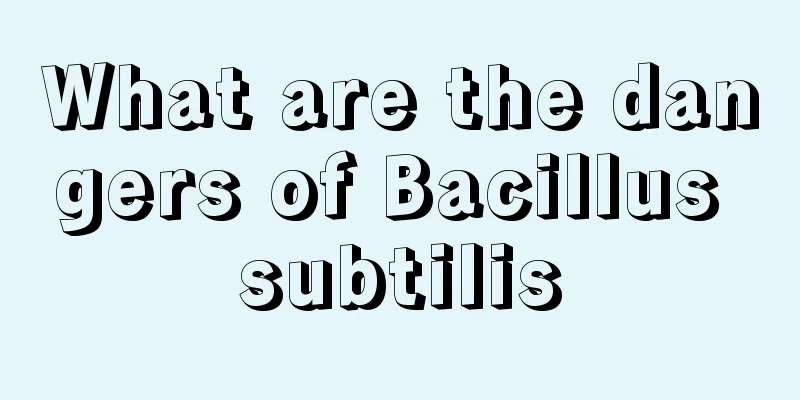 What are the dangers of Bacillus subtilis