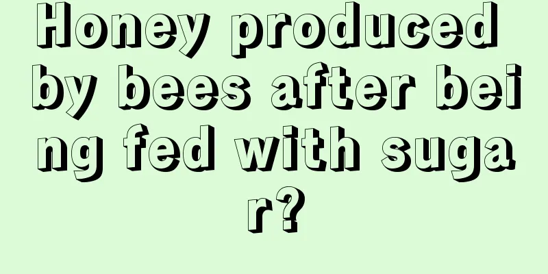 Honey produced by bees after being fed with sugar?