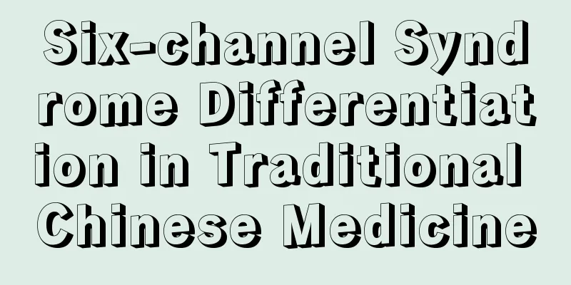 Six-channel Syndrome Differentiation in Traditional Chinese Medicine