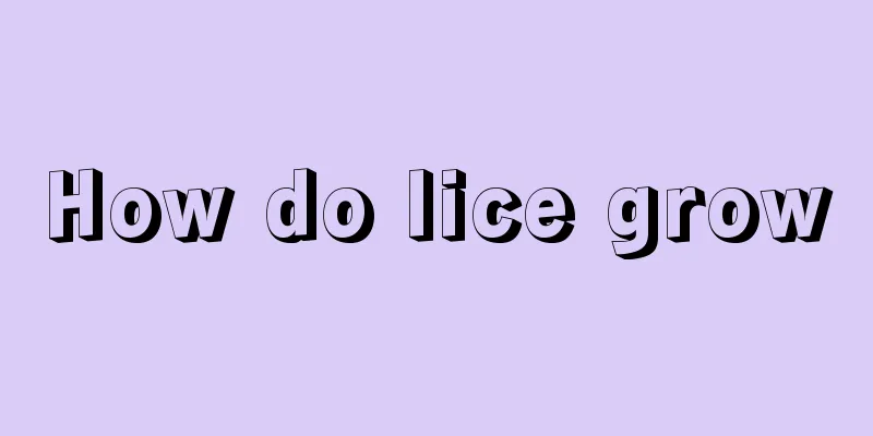 How do lice grow