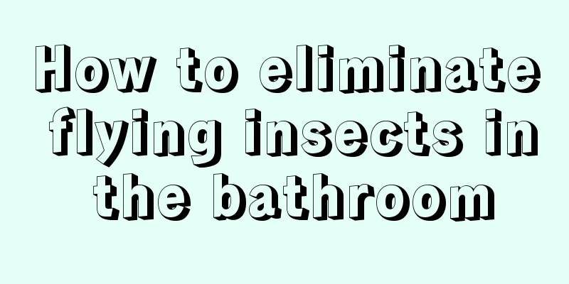 How to eliminate flying insects in the bathroom