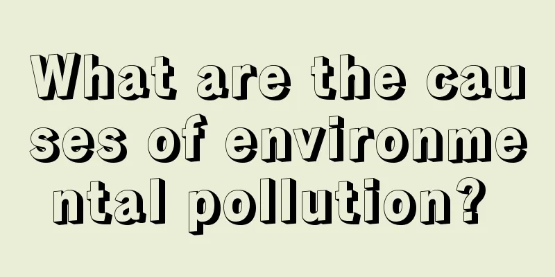 What are the causes of environmental pollution? 