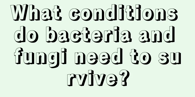 What conditions do bacteria and fungi need to survive?