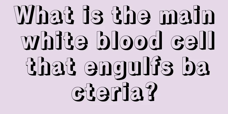 What is the main white blood cell that engulfs bacteria?