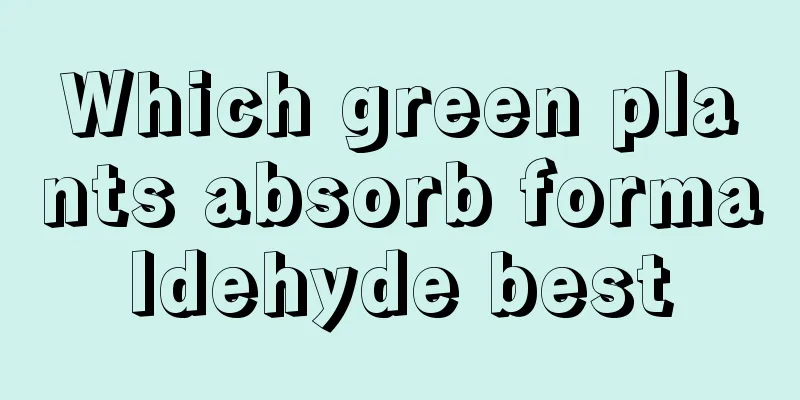 Which green plants absorb formaldehyde best
