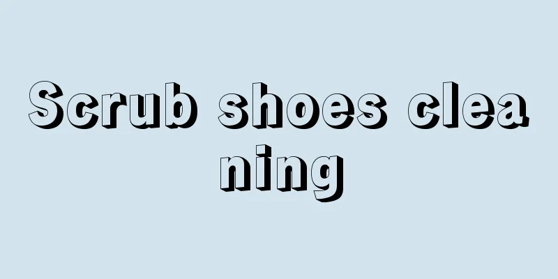 Scrub shoes cleaning