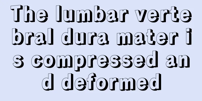 The lumbar vertebral dura mater is compressed and deformed