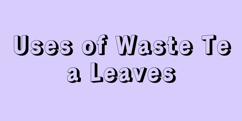 Uses of Waste Tea Leaves