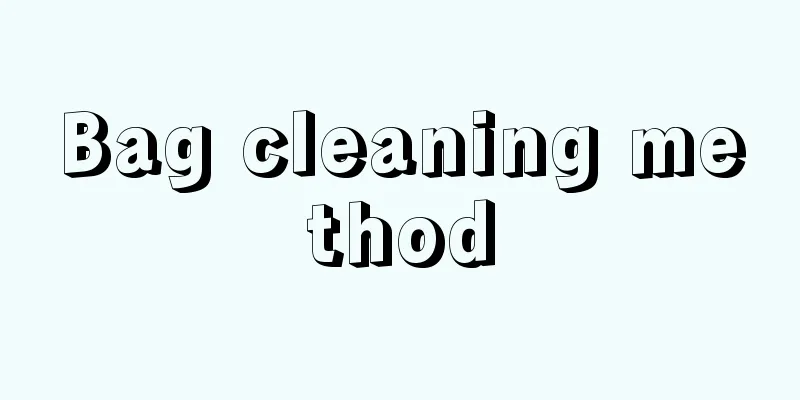 Bag cleaning method