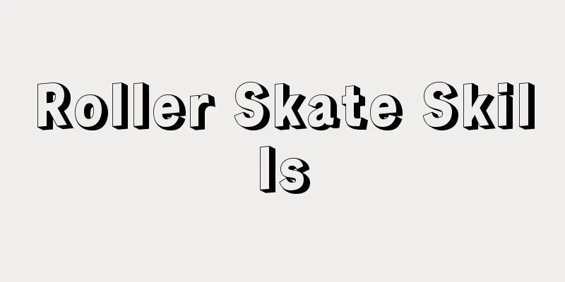Roller Skate Skills