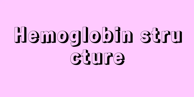 Hemoglobin structure