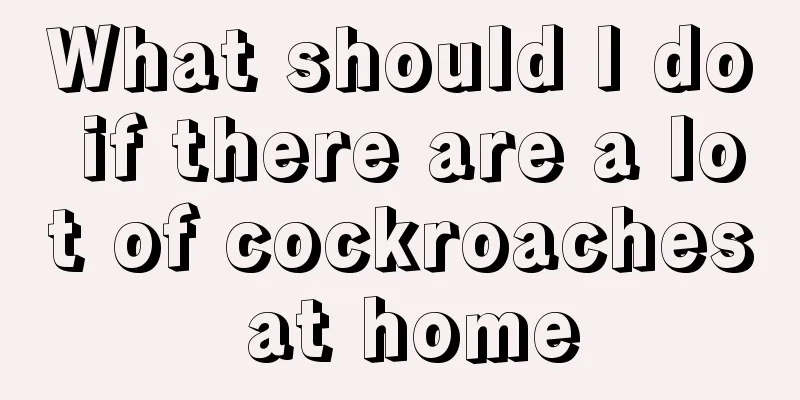 What should I do if there are a lot of cockroaches at home