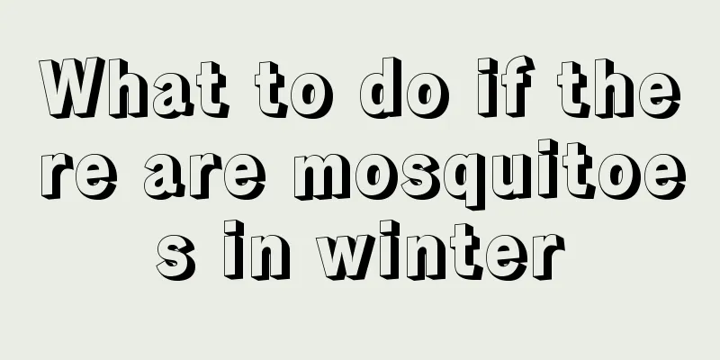 What to do if there are mosquitoes in winter