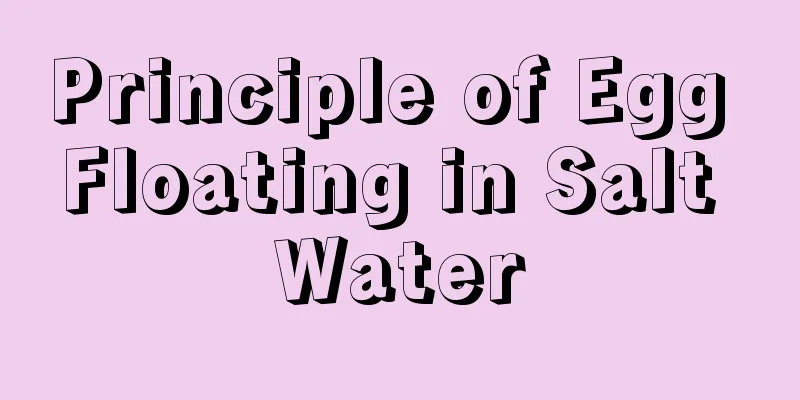 Principle of Egg Floating in Salt Water