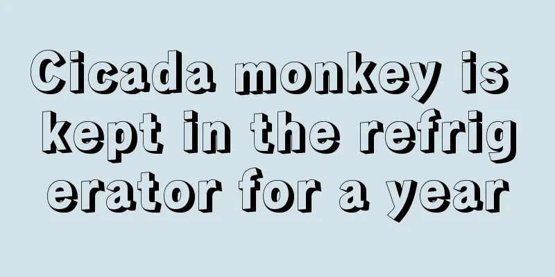 Cicada monkey is kept in the refrigerator for a year