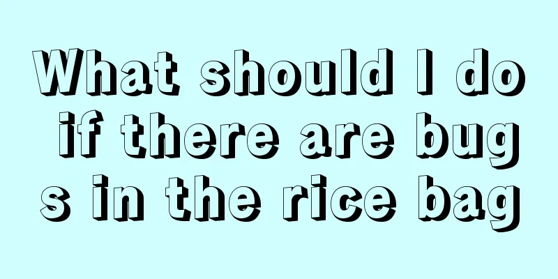 What should I do if there are bugs in the rice bag