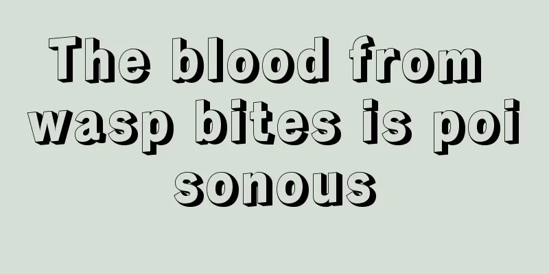 The blood from wasp bites is poisonous