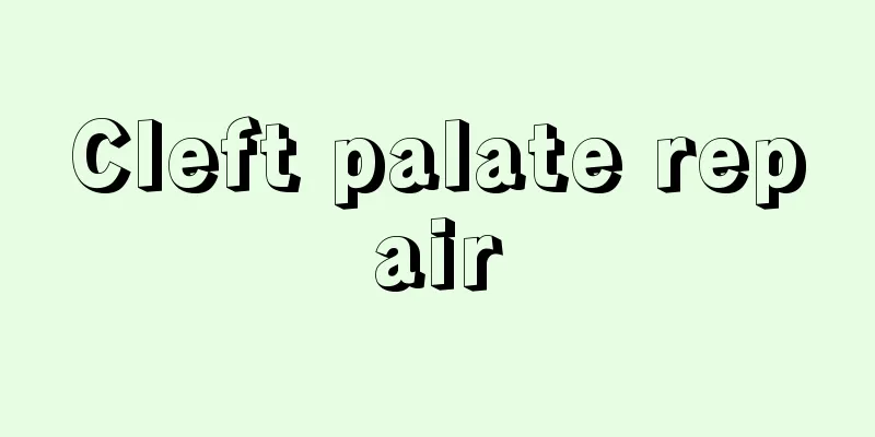 Cleft palate repair