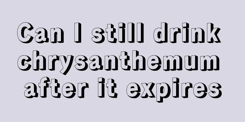 Can I still drink chrysanthemum after it expires