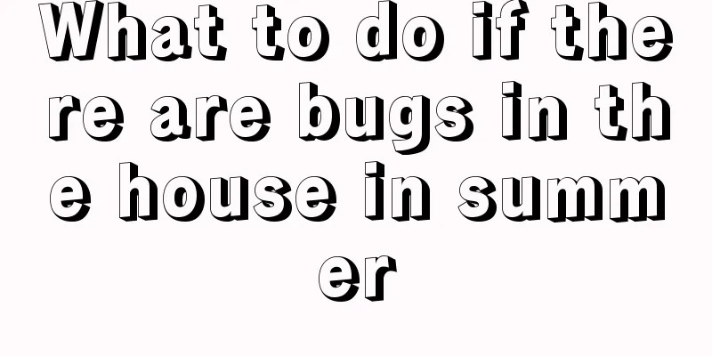What to do if there are bugs in the house in summer